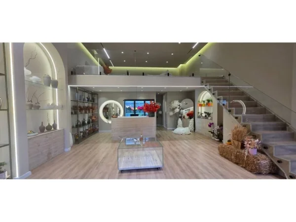 Tirane, shitet ambjent biznesi Kati 0, 136 m² (delioxh)