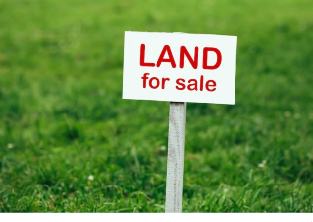 Dhermi - Palase, shes toke ne bregdet , 6.000 m² 900.000 € (Dhermi)