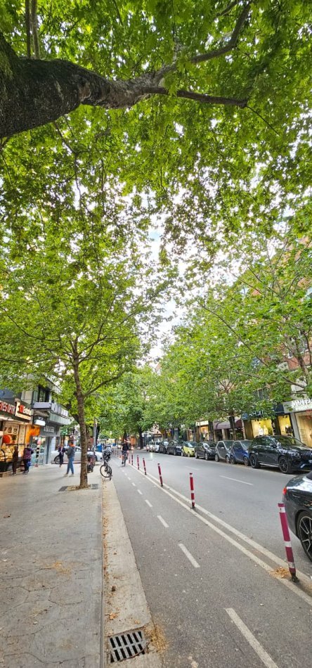 Tirane, jepet me qera apartament 2+1+Aneks+Ballkon Kati 3, 80 m² 700 € 