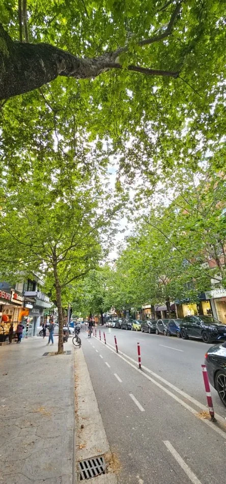 Tirane, jepet me qera apartament 2+1+Aneks+Ballkon Kati 3, 80 m² 700 € 