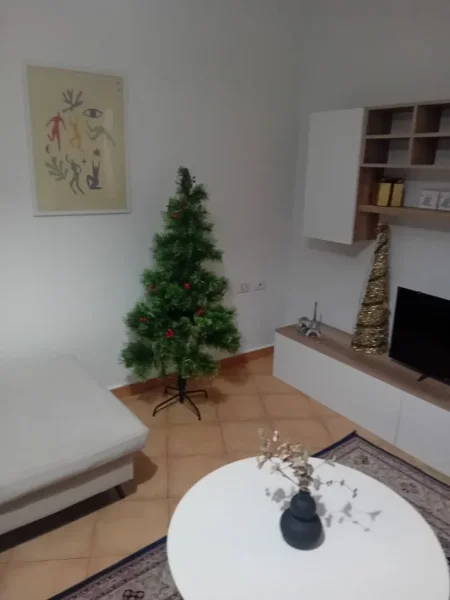 Tirane, jepet me qera apartament 1+1+Aneks+Ballkon Kati 2, 75 m² 721 € 