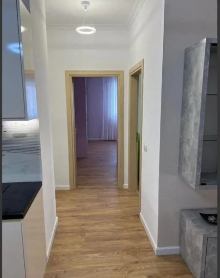 Tirane, jepet me qera apartament 2+1+Ballkon Kati 2, 100 m² 800 € 