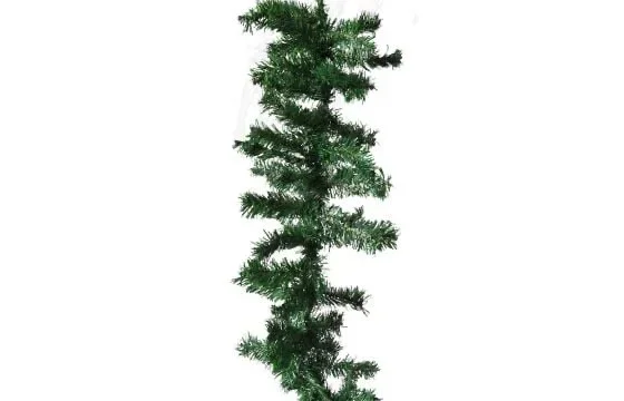 Tirane, shes shirit peme 30 €