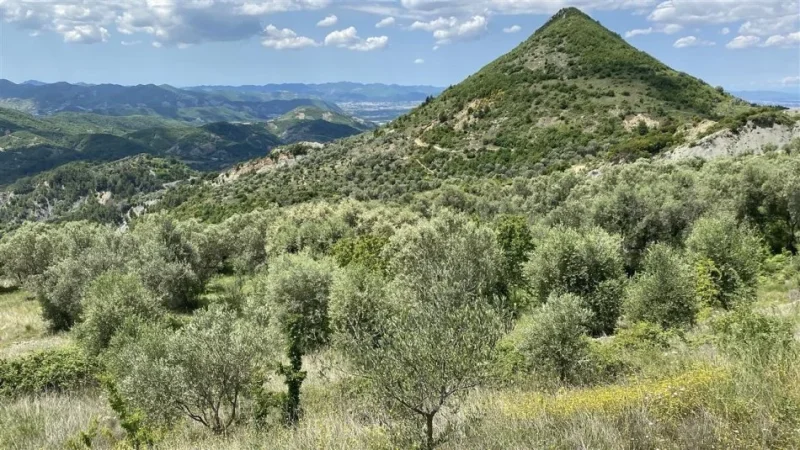 Tirane Petrele, shitet toke bujqesore , 4.000 m² 300.000 €