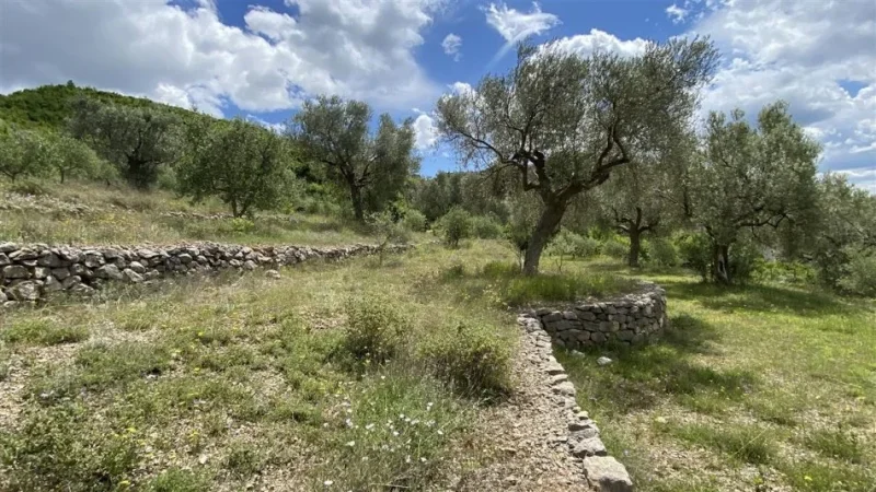 Tirane Petrele, shitet toke bujqesore , 4.000 m² 300.000 €