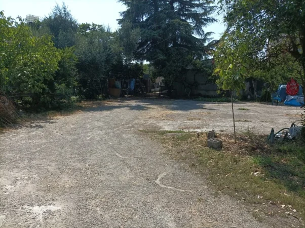 Tirane, jepet me qera ambjent biznesi , 80 000 lek