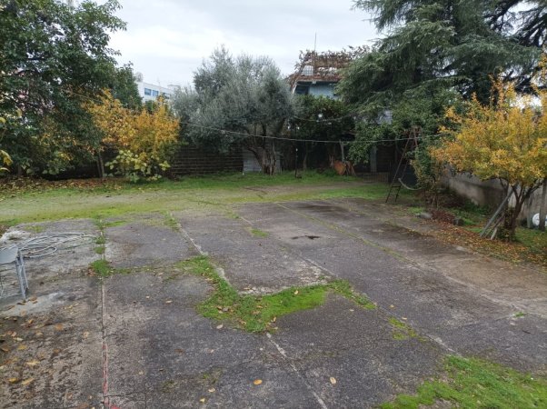 Tirane, jepet me qera ambjent biznesi , 820 €
