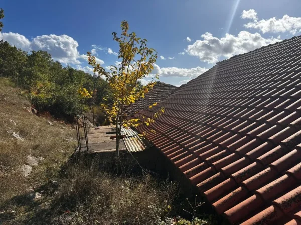 Pogradec, shitet Vile 1+1 Kati 0, 300 m² 170.000 € (Rruga Lin)