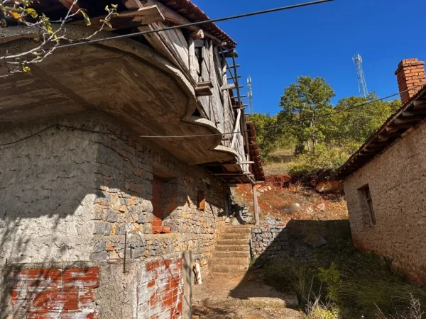 Pogradec, shitet Vile 1+1 Kati 0, 300 m² 170.000 € (Rruga Lin)