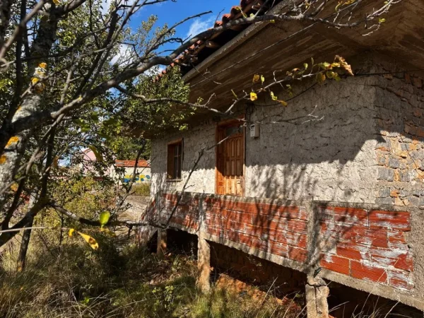 Pogradec, shitet Vile 1+1 Kati 0, 300 m² 170.000 € (Rruga Lin)