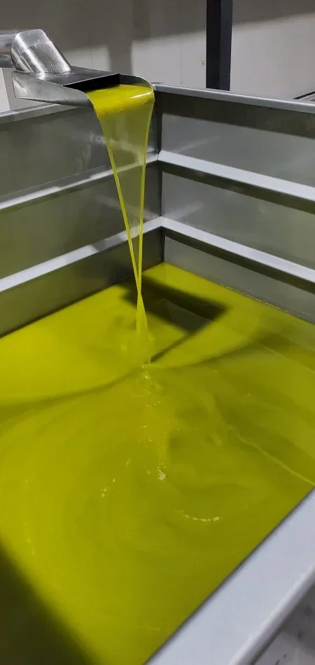 Berat, oferte Vaj ulliri korroneik i fresket