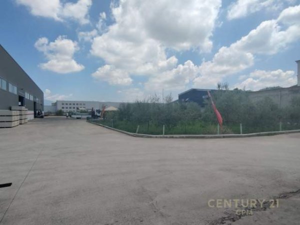 Tirane, jepet me qera magazine Kati 0, 1.330 m² 5.000 Euro