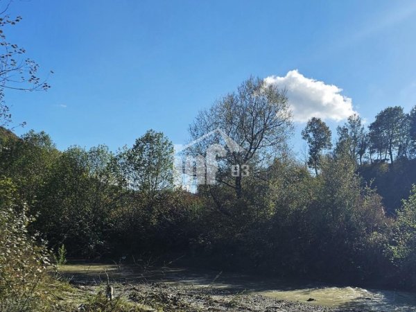 Tirane, shitet toke , 6.632 m² 332.000 € (NE VISHNJE, 4.5 KM NGA URA E FARKES)