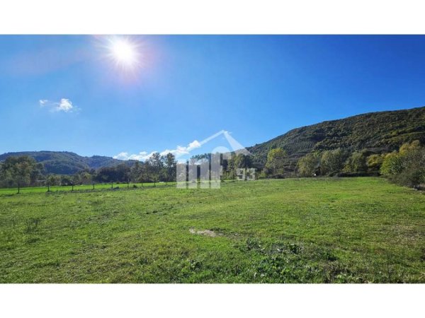 Tirane, shitet toke , 6.632 m² 332.000 € (NE VISHNJE, 4.5 KM NGA URA E FARKES)