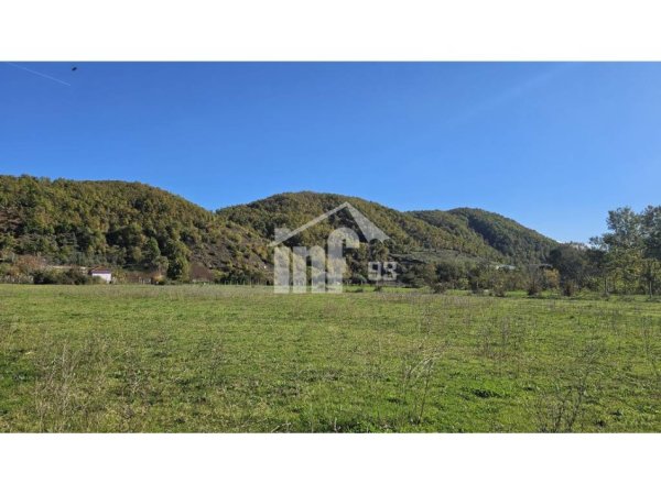 Tirane, shitet toke , 6.632 m² 332.000 € (NE VISHNJE, 4.5 KM NGA URA E FARKES)