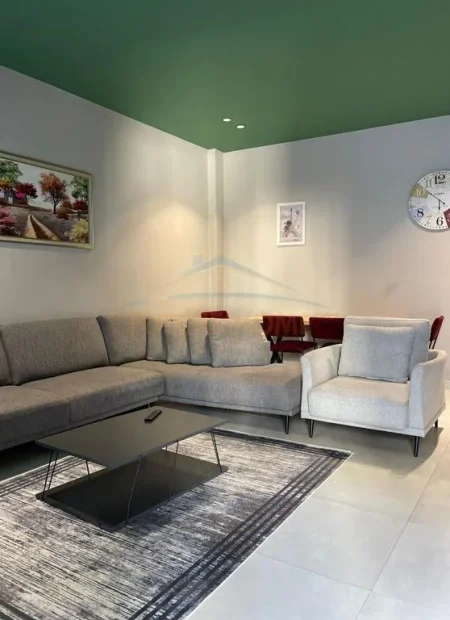 Tirane, jepet me qera apartament 1+1 Kati 2, 60 m² 500 € (Rruga e Dibres)