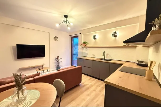 Tirane, jepet me qera apartament 1+1 Kati 2, 52 m² 550 € 