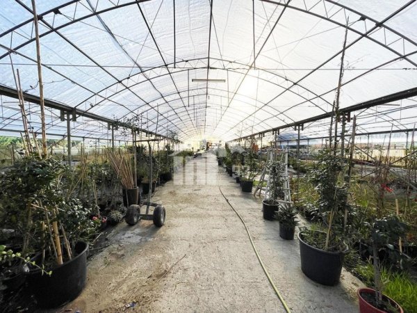 Tirane, jepet me qera toke , 4.160 m² (BERZHITE, 5 MIN NGA TEG)