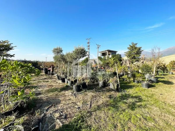 Tirane, jepet me qera toke , 4.160 m² (BERZHITE, 5 MIN NGA TEG)