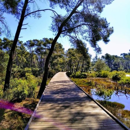 Divjake, shitet lokal , 3.900 m² (Divjake)