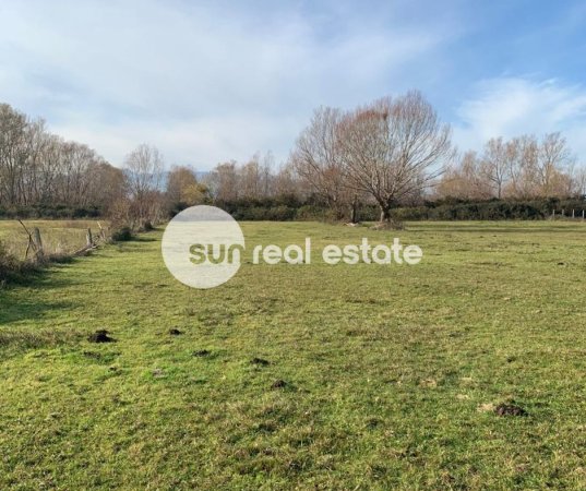 Shkoder, shitet toke , 4.000 m² 55.000 € 