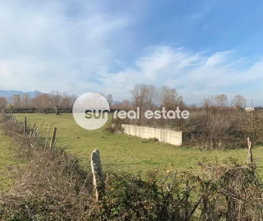 Shkoder, shitet toke , 4.000 m² 55.000 € 