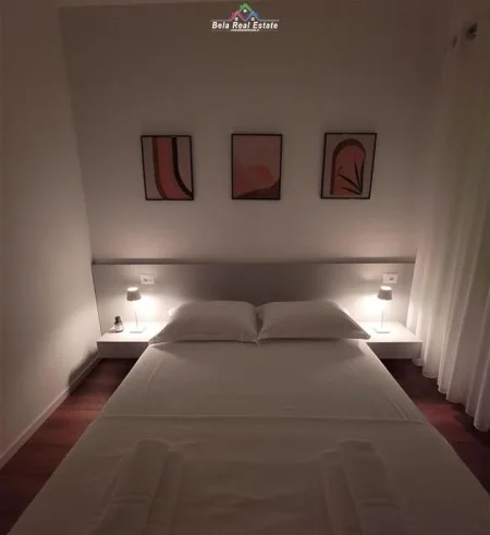 Tirane, jepet me qera Vile 1+1 Kati 1, 60 m² 620 € (Rruga e Durresit)