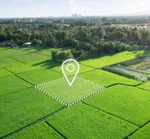 Tirane, shitet toke , 280 m² 30.000 € (Linze/Dajt)