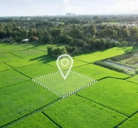 Tirane, shitet toke , 280 m² 30.000 € (Linze/Dajt)