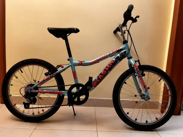 Tirane, shes biciklete per femije djem + vajza jeshile 70 €