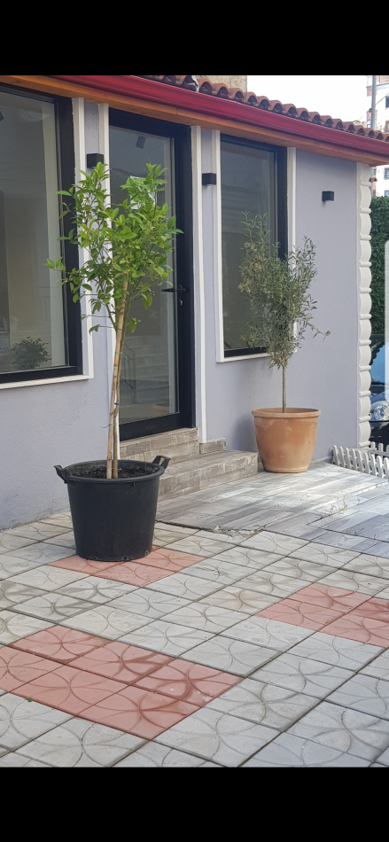 Tirane, jap me qera ambjent biznesi Kati 0, 45m² 430 € (Blvd. PETRO NiNI LUARASI)