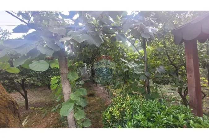 Tirane, shitet shtepi 3+1 Kati 1, 188 m² 220.000 € (UBT, Kamëz(ID: 530221066-52)