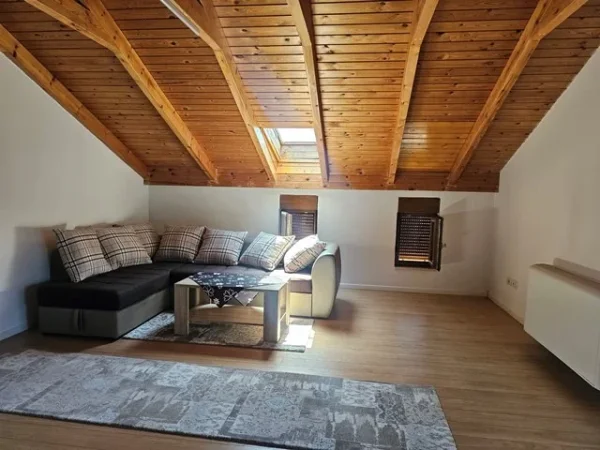Tirane, jepet me qera Vile 4+1+Ballkon Kati 0, 270 m² 2.500 € (TEG)
