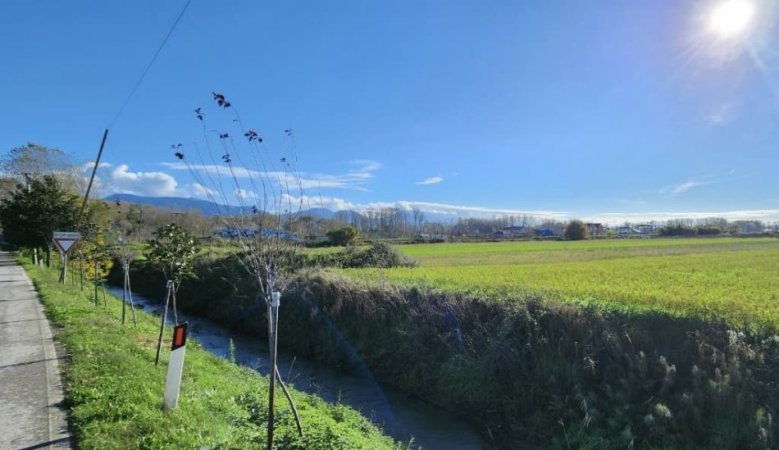 Tirane, shitet toke , 10.000 m² (Fushë-Prezë)