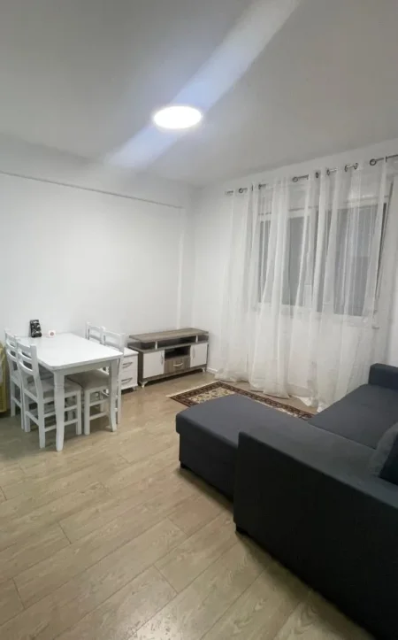 Tirane, jepet me qera apartament 1+1 Kati 1, 60 m² 500 € (Liqeni i Thate)