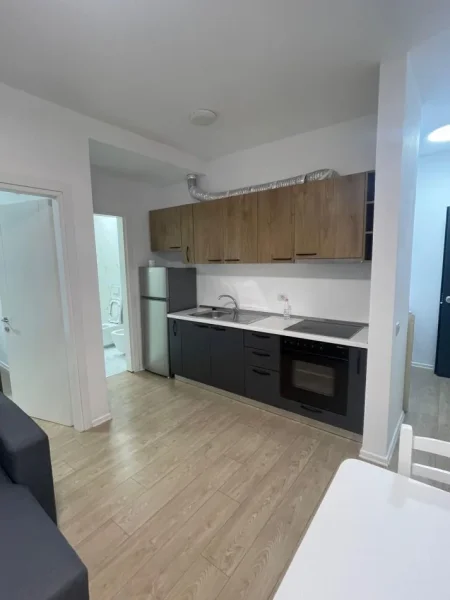 Tirane, jepet me qera apartament 1+1 Kati 1, 60 m² 500 € (Liqeni i Thate)