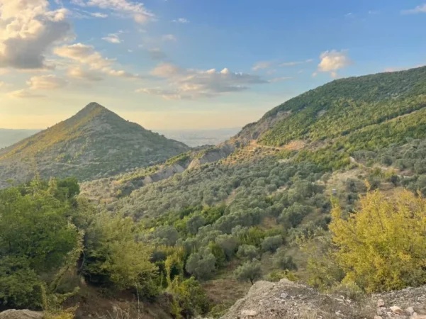 Tirane Petrele, shitet toke bujqesore , 4.000 m² 300.000 €