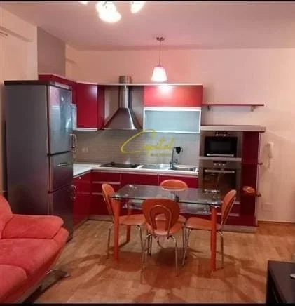 Tirane, jepet me qera apartament 1+1 Kati 4, 70 m² 600 € (21 DHJETORI)
