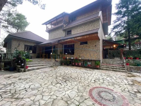 Tirane, shitet ambjent biznesi Kati 1, 1.067 m² 2.500.000 € (Dajt)