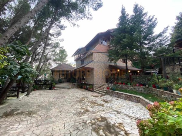 Tirane, shitet ambjent biznesi Kati 1, 1.067 m² 2.500.000 € (Dajt)