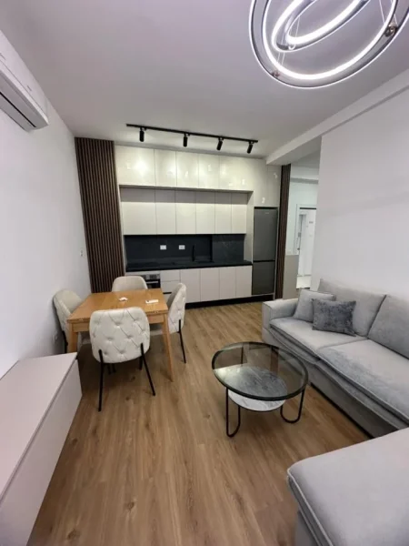 Tirane, jepet me qera apartament 1+1 , 450 € (Ali Demi)