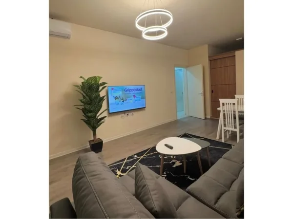 Tirane, jap me qera apartament 1+1+Ballkon Kati 1, 70 m² 700 € (Liqeni i Kosovareve)