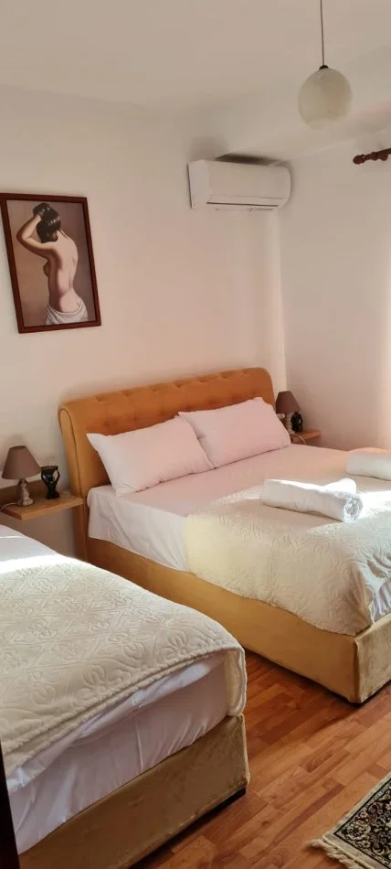 Tirane, jepet me qera apartament 1+1+Ballkon Kati 5, 85 m² 550 € (Rruga Gjon Buzuku)