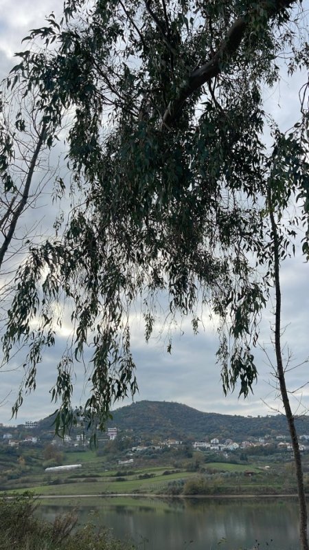 Tirane, shitet toke , 3.000 m² 120.000 € (Kashar)