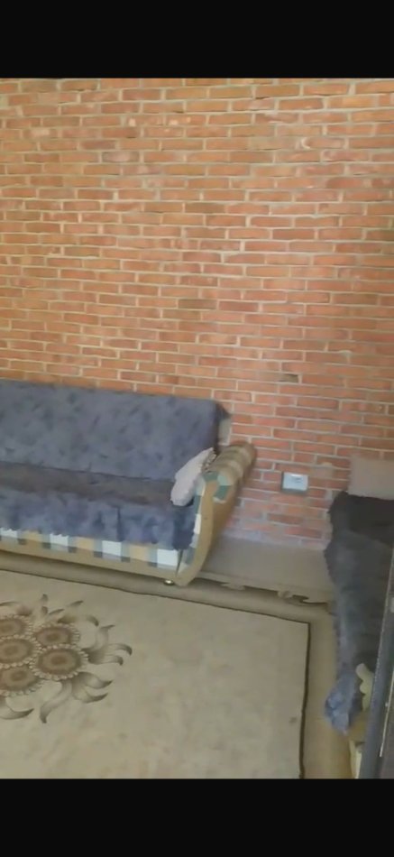 WhatsApp Image 2025-12-08 at 11.07.30.jpeg