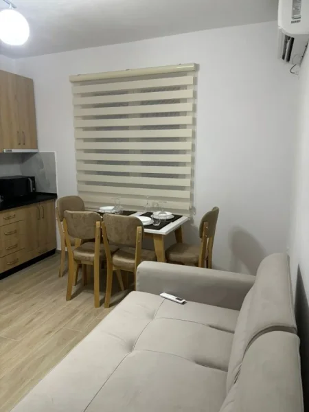 Tirane, jepet me qera apartament 1+1 Kati 1, 60 m² 480 € (ali demi)