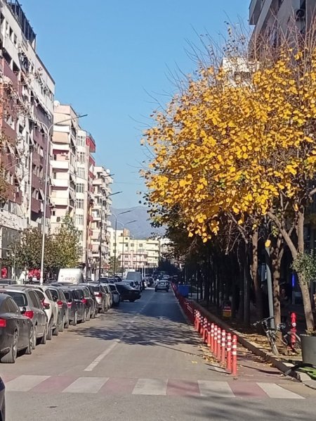 Jepet me Qira Apartament 1+1 në Astir te Bar Artisti,   420 €URO