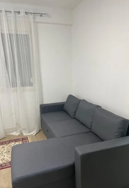 Tirane, jepet me qera apartament 1+1 Kati 1, 60 m² 500 € (Liqeni i thate)