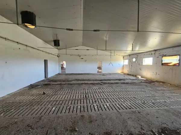 Durres, shitet magazine Kati 0, 4.000 m² 550.000 € 