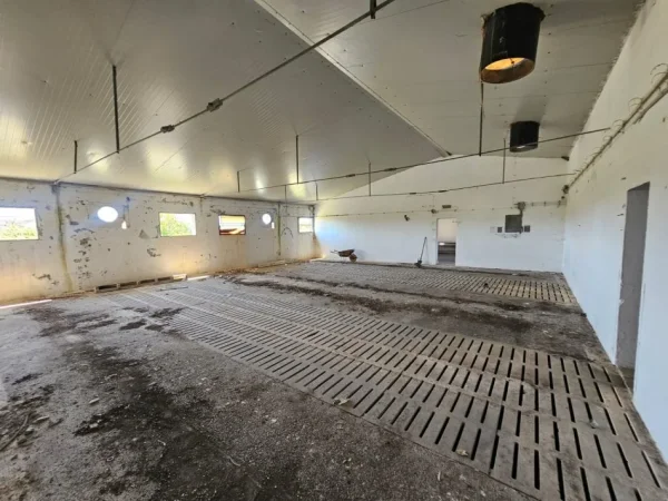 Durres, shitet magazine Kati 0, 4.000 m² 550.000 € 